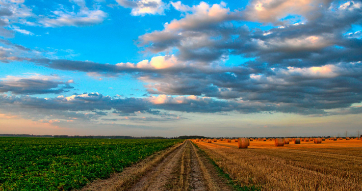 The Importance Of Irrigation In Agriculture And Proper Water Storage